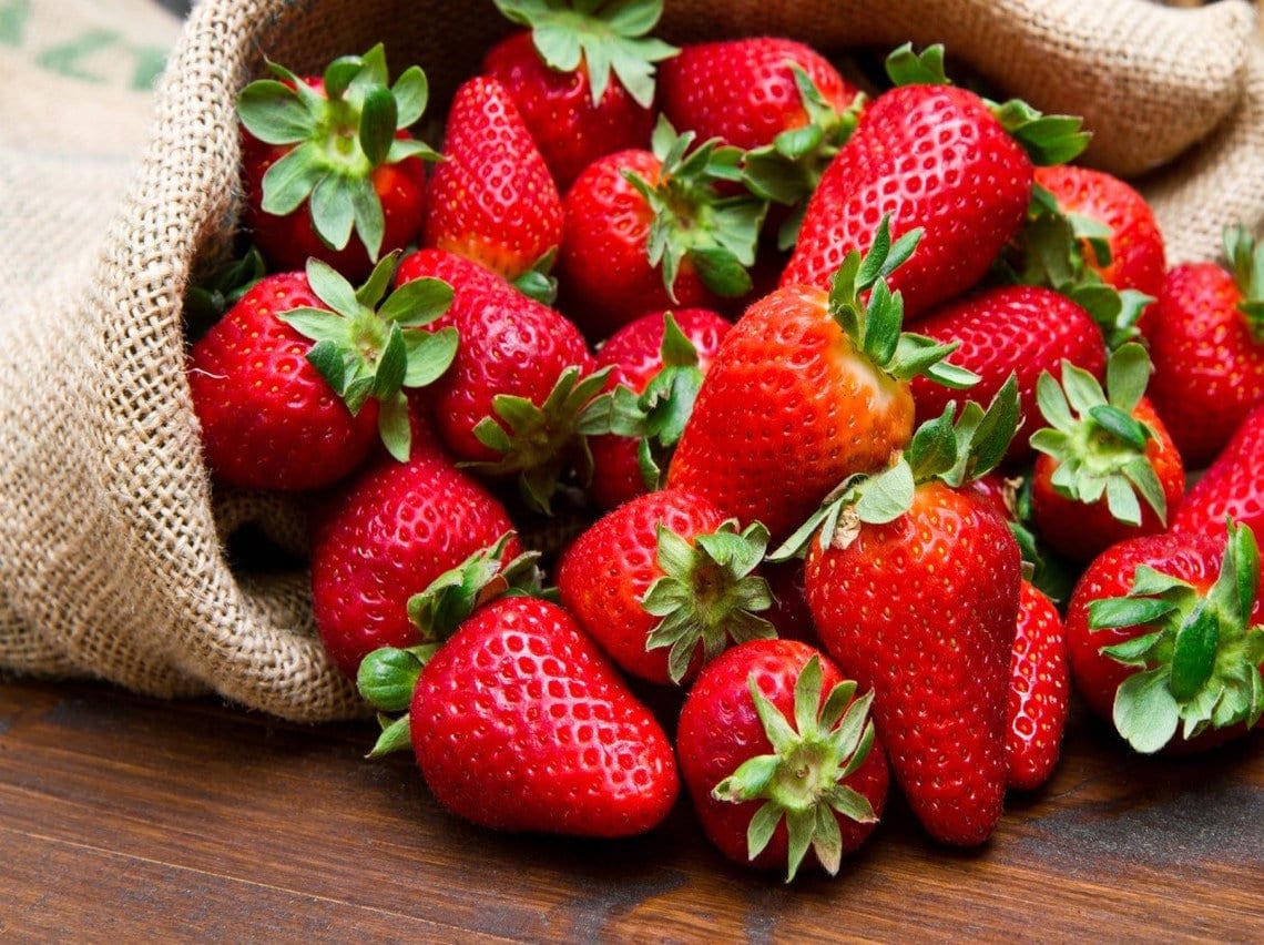 Strawberry Temptation/Fragaria x ananassa - Seeds